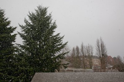 Let It Snow! Jan 17 2012