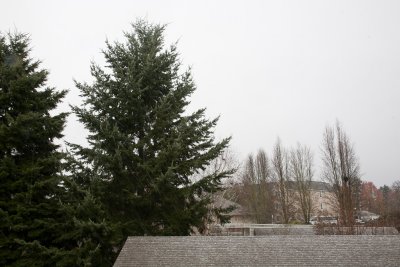 Jan 17 2012 Snow-002.jpg