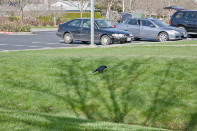 Apr 7 2012 Spring has Sprung-012.jpg