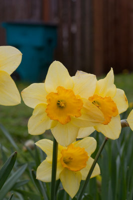 Apr 8 2012 Spring And More!-053.jpg
