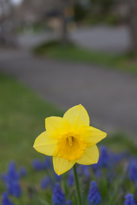 Apr 8 2012 Spring And More!-108.jpg