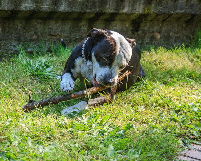 July 4 2012 Fourth BBQ and Drum Circle-250.jpg