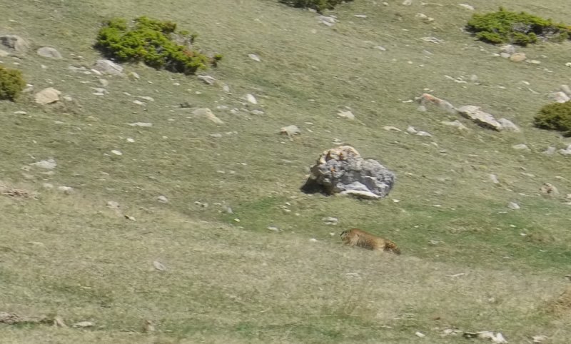 166.jpg