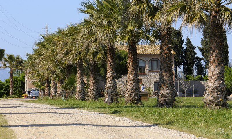 755.jpg