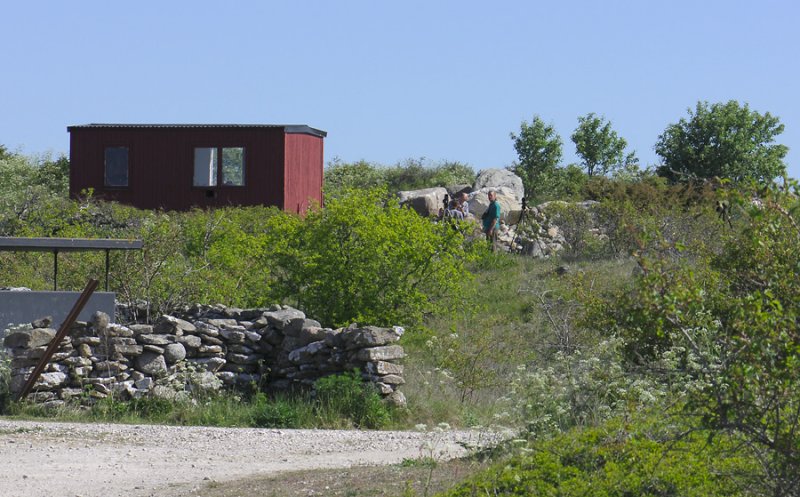 175.jpg