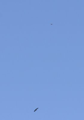 113.jpg
