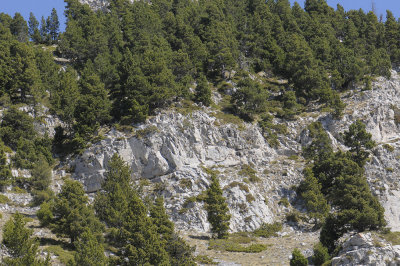 153.jpg