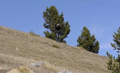 162.jpg