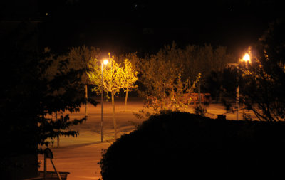 495.jpg