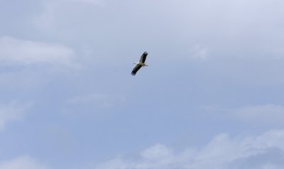 677.jpg