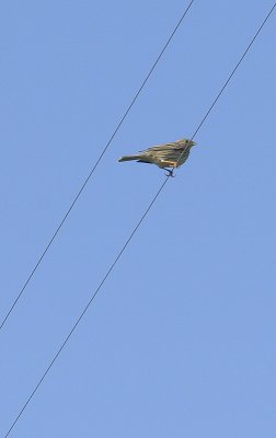 772.jpg