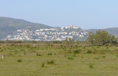 810.jpg