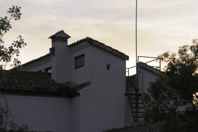 841.jpg