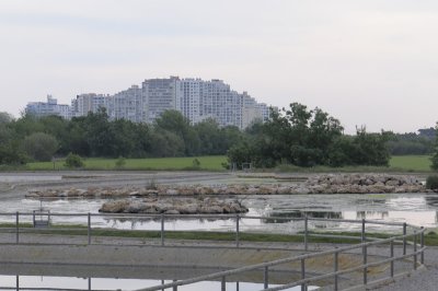 864.jpg