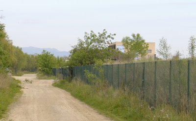 866.jpg