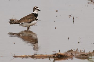 Standing alone