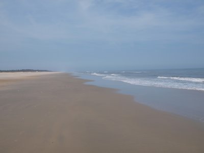 Assateague Beach