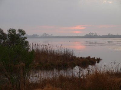 chincoteague_island