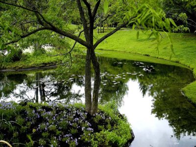 Montreal Botanical Garden  Canada