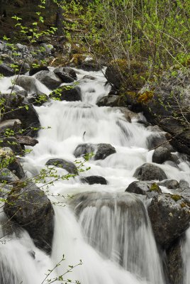 Rapids At Mendenhall Glacier