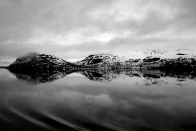 Reflection At Glacier Bay