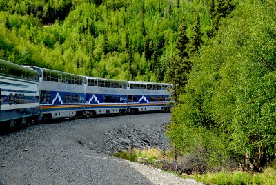 McKinley Train In Denali Park