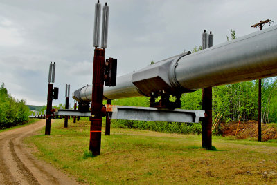 Trans Alaska Pipeline