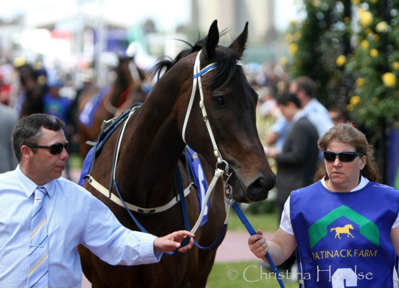 7490i.jpg (Flemington 6th November 2010)