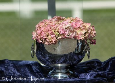 7388s (Racing Bowl)