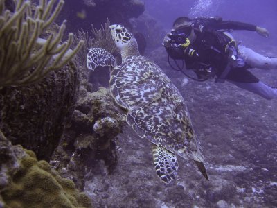 cozumel_2011