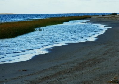 beach in Barnstable