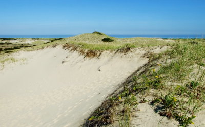 Dunes, North Truro