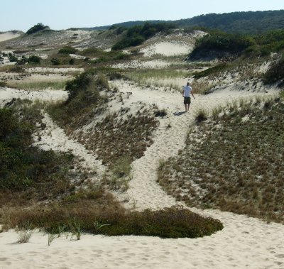 Dunes, North Truro