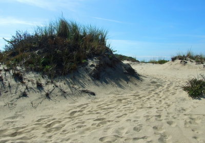 Dunes, North Truro