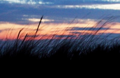 Ptown, breezy sunset