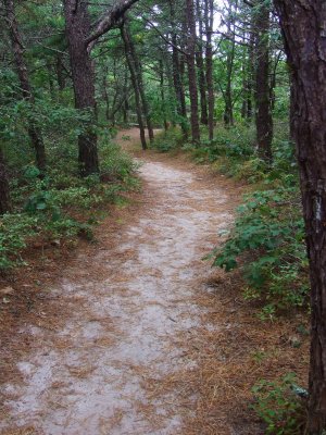 nature path