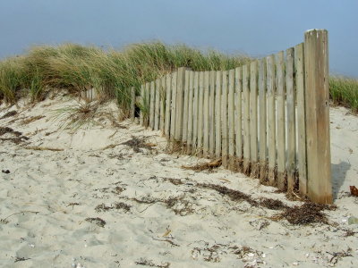beach fence