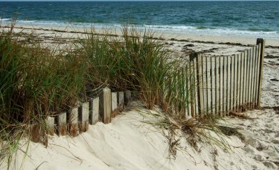 beach fence