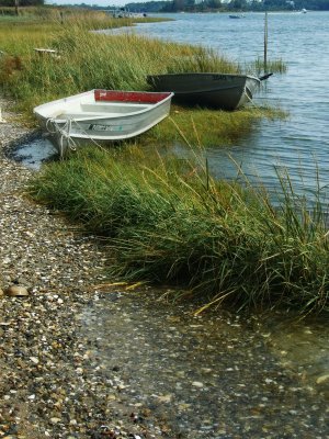 boats in the cove