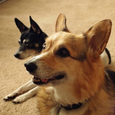 Molly&Miranda 3.jpg