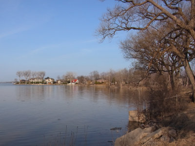RIMG0021.jpg