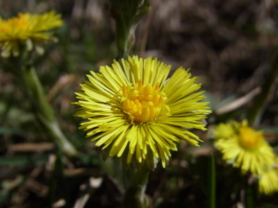 RIMG0035.JPG