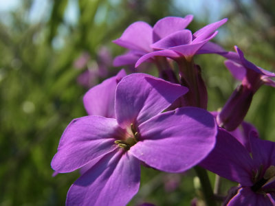 RIMG0123.jpg
