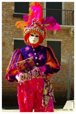 Carnaval de Venise 2012 7