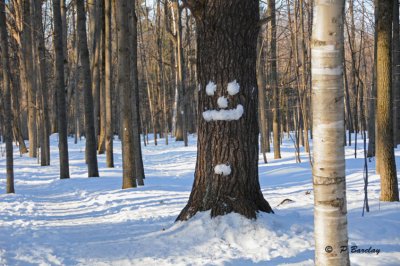 Smile!