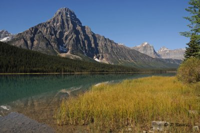 Mt Chephren from Lower Waterfowl Lake