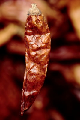 A Flying Chilli