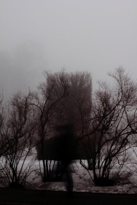 g4/11/975711/3/133612943.rnFZCFJo.jpg