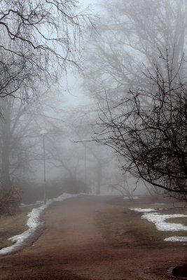 Foggy day in the park I
