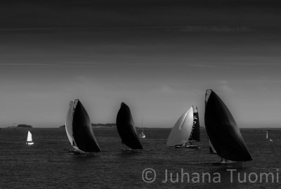 Black sails